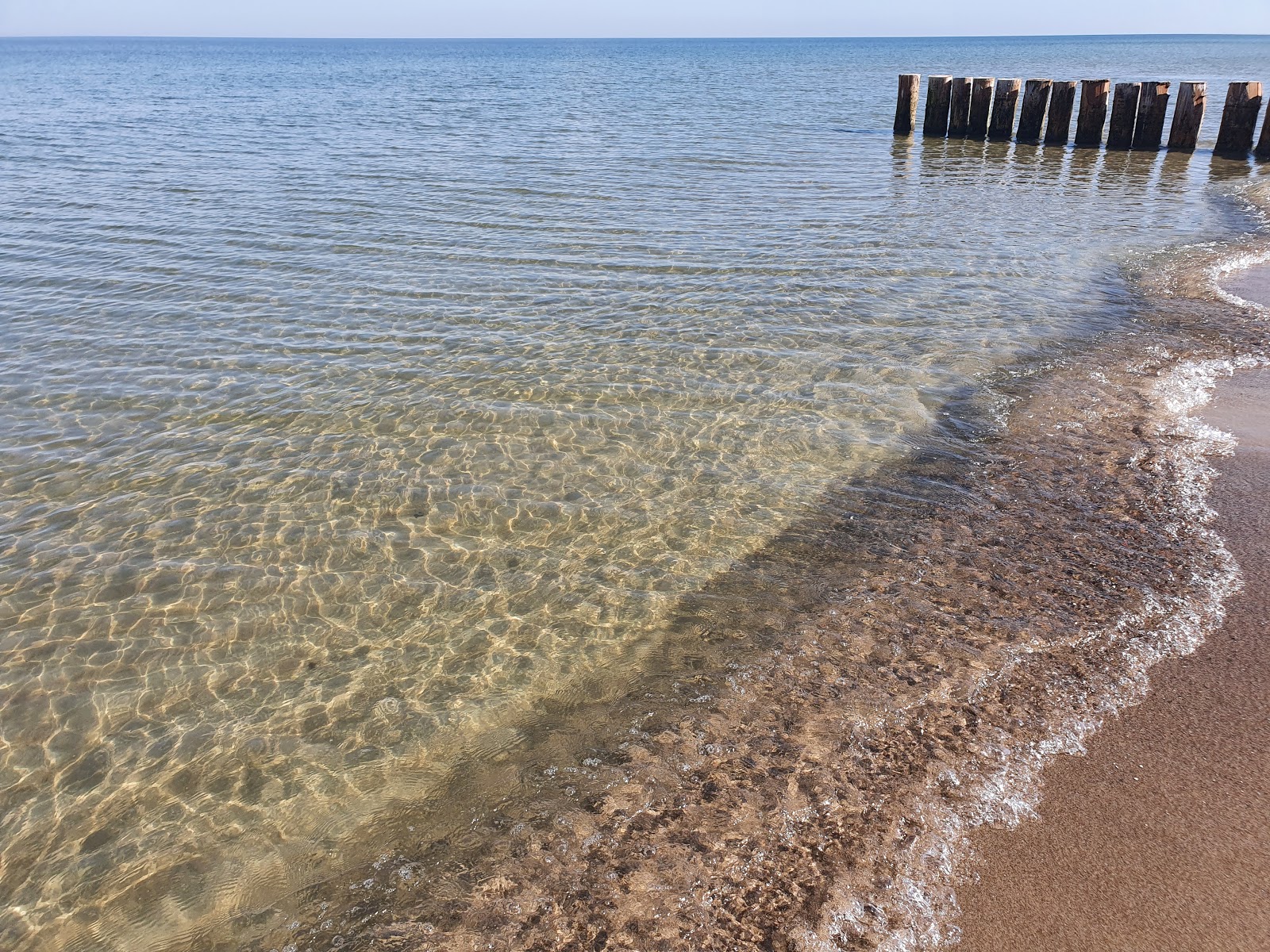 Kuznica Dog Beach'in fotoğrafı - rahatlamayı sevenler arasında popüler bir yer