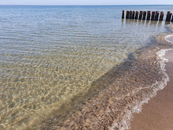 Kuznica Dog Beach'in fotoğrafı - rahatlamayı sevenler arasında popüler bir yer