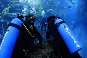Diving in Dubai Mall Aquarium with Al Boom Diving image