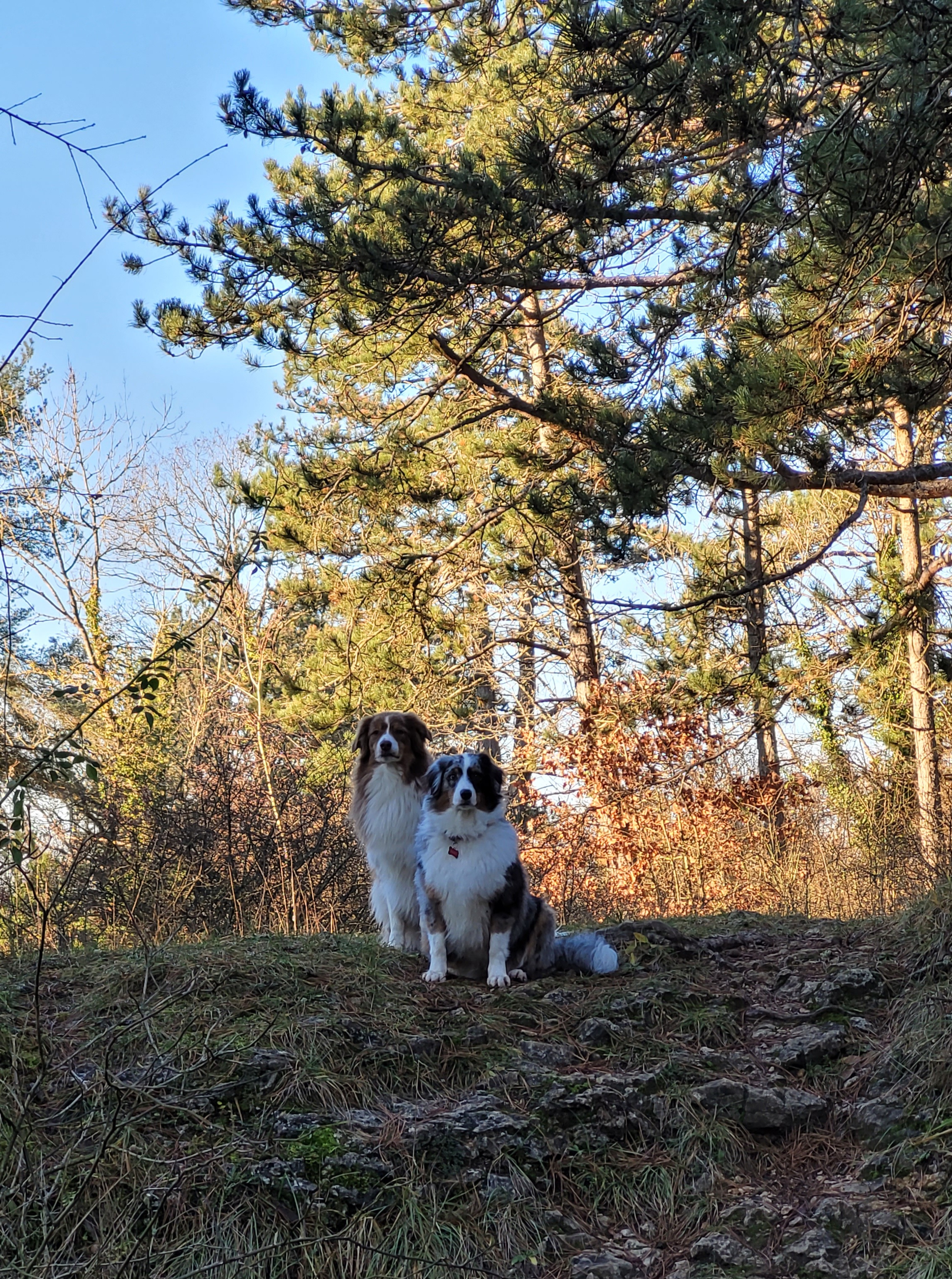 Photo n° 5 de l'avis de Fabienne.r fait le 29/12/2023 à 11:31