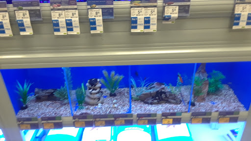 Pet Supply Store «PetSmart», reviews and photos, 2828 Campus Pkwy, Riverside, CA 92507, USA