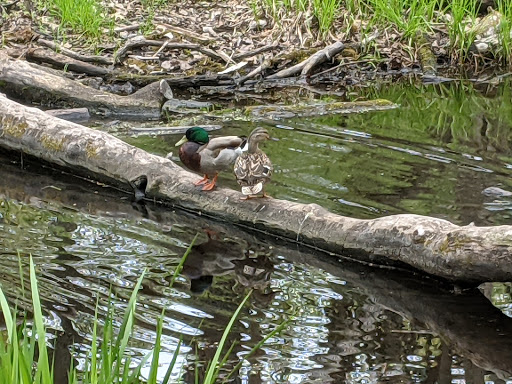 Nature Preserve «The Grove», reviews and photos, 1421 Milwaukee Ave, Glenview, IL 60025, USA