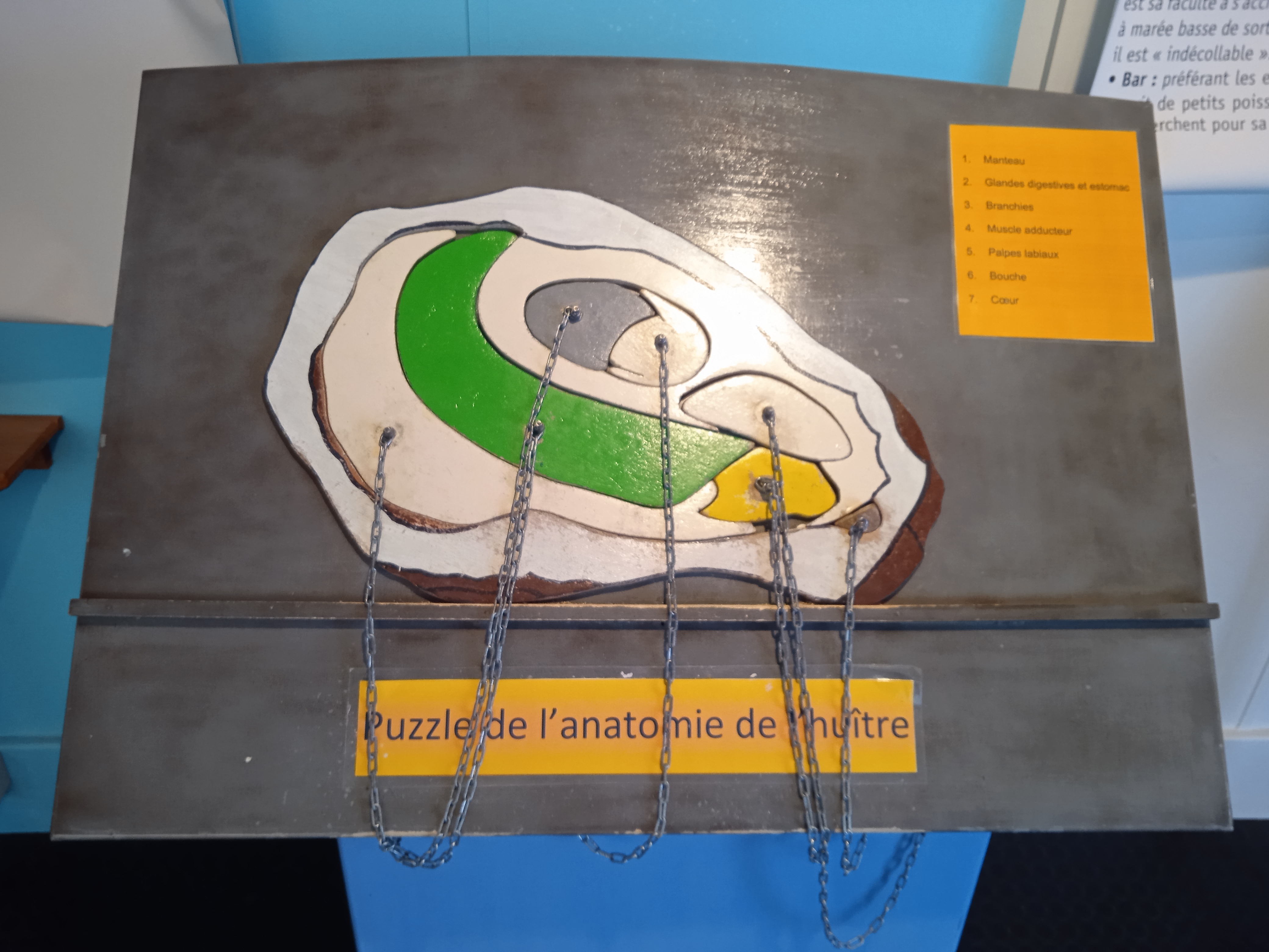 Photo n° 6 de l'avis de Julien.t fait le 18/10/2020 à 18:36