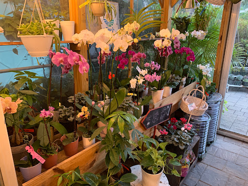 Grocery Store «Bayshore Market», reviews and photos, 5025 Bayshore Blvd, Tampa, FL 33611, USA