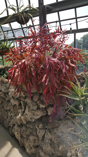 Aquarium «Belle Isle Aquarium», reviews and photos, 900 Inselruhe Ave, Detroit, MI 48207, USA