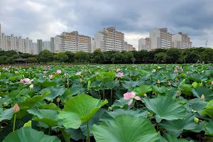 양산호수공원 image