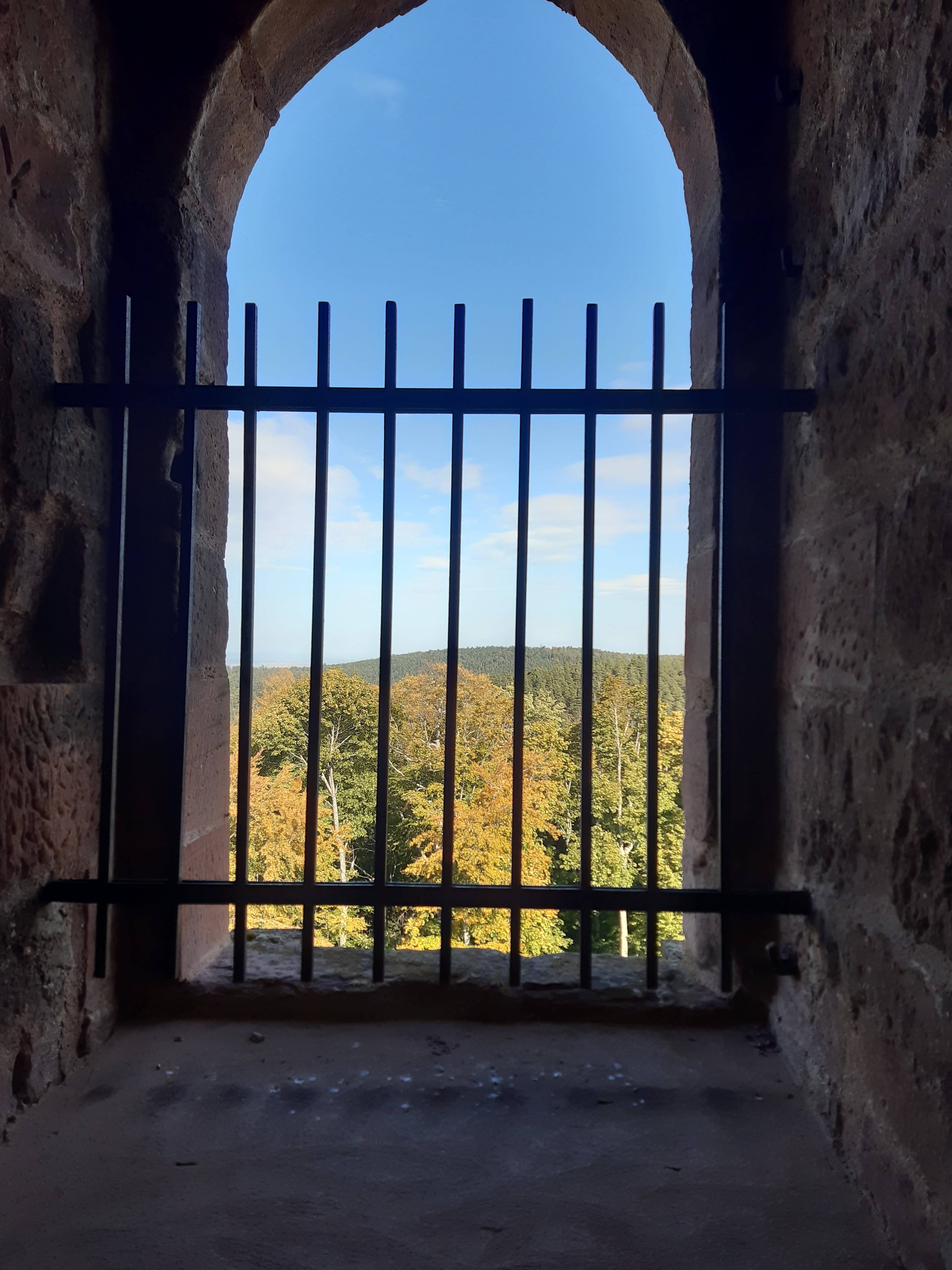 Photo n° 16 de l'avis de Olym.h fait le 15/10/2023 à 21:26
