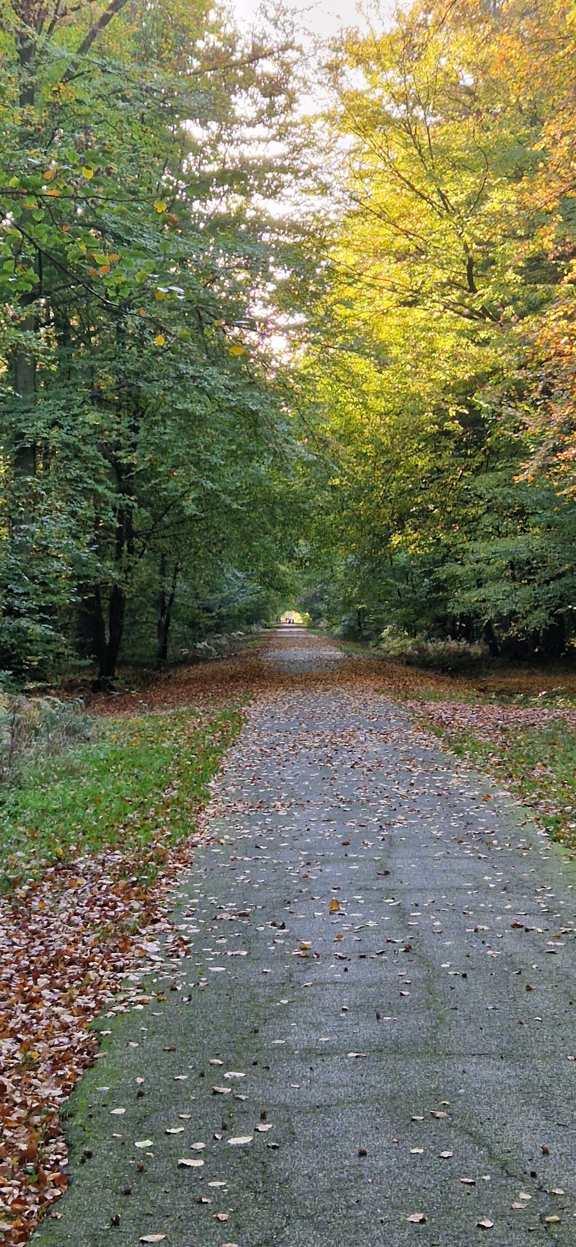 Photo n° 1 de l'avis de Eric. fait le 27/10/2022 à 15:51