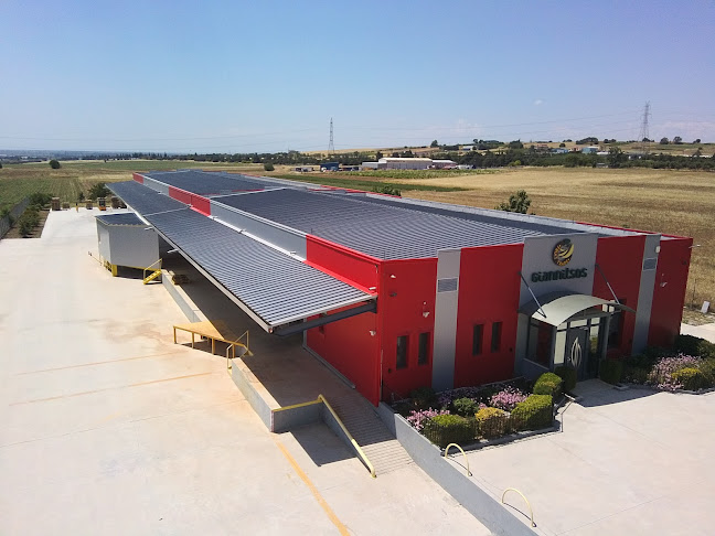 "Γιαννίτσος" Τσιχλακίδης - Κέντρο Ωρίμανσης Μπανάνας - Agios Athanasios