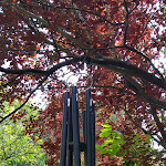 Photo n°4 de l'avis de Fajaz.. fait le 14/07/2021 à 13:31 sur le  Barfußpark Lüneburger Heide in Egestorf à Egestorf