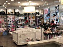 Waggs to Riches - Photo 5 - Car repair in Boca Raton, FL, Pompano Beach