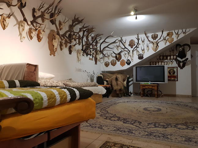 Opinii despre Kincsesbánya în Kincsesbánya - Szálloda