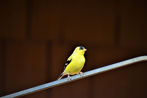 Park «Nature Center At Shaker Lakes», reviews and photos, 2600 S Park Blvd, Cleveland, OH 44120, USA