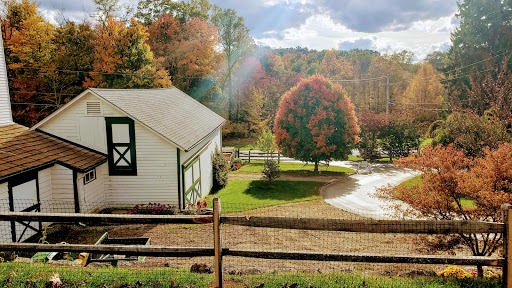 Orchard «Riamede Farm», reviews and photos, 122 Oakdale Rd, Chester, NJ 07930, USA