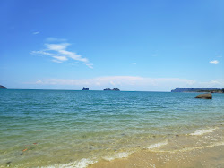 Wild Beach'in fotoğrafı vahşi alan