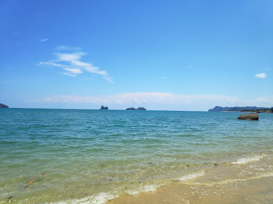 Wild Beach