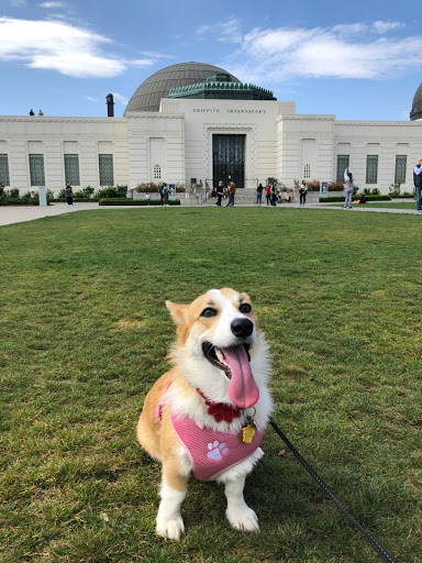 Observatory «Griffith Observatory», reviews and photos, 2800 E Observatory Rd, Los Angeles, CA 90027, USA