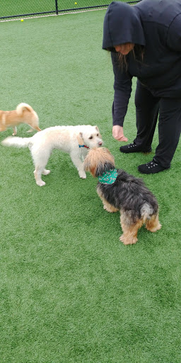 Park «Newbridge Rd Park», reviews and photos, 2600 Newbridge Rd, Bellmore, NY 11710, USA