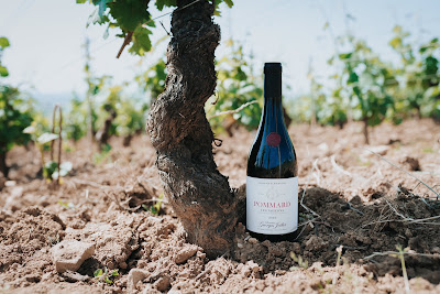 Domaine Georges Joillot à Pommard