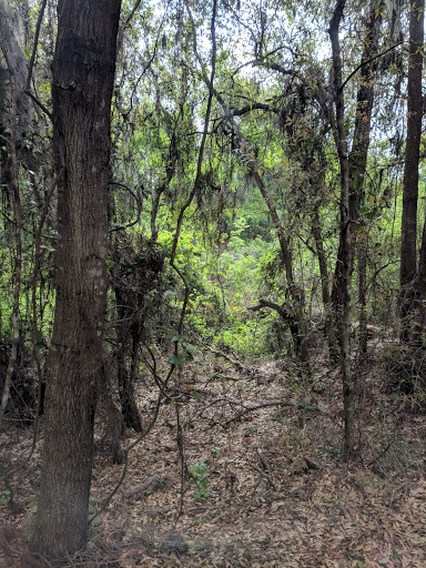 Recreation Center «Balm Park Recreation Center», reviews and photos, 14747 Balm Wimauma Rd, Wimauma, FL 33598, USA