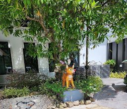Reindeer Park Resort photo