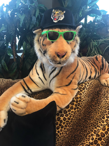 Law Firm «Dyer, Garofalo, Mann & Schultz», reviews and photos