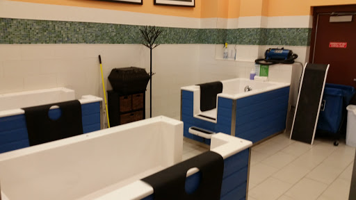 Pet Supply Store «Pet Evolution - Pet Food | Dog Wash | Grooming», reviews and photos, 429 Commerce Dr, Woodbury, MN 55125, USA