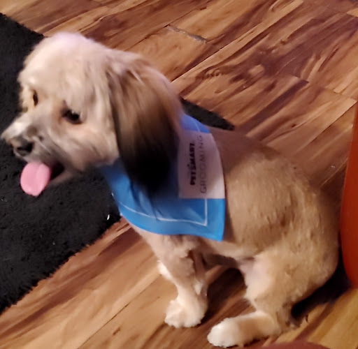 Lodging «PetSmart North Ogden», reviews and photos, 175 W 12th St, Ogden, UT 84404, USA