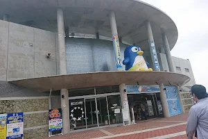 Nagasaki Penguin Aquarium Penguin Shop image