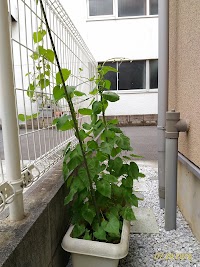 日産部品 城南支店