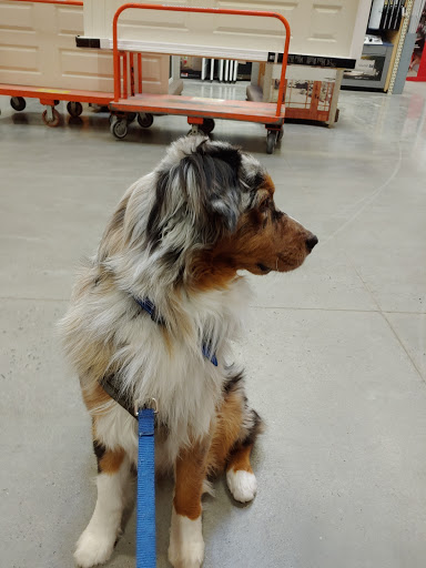 Home Improvement Store «The Home Depot», reviews and photos, 701 Boston Post Rd E, Marlborough, MA 01752, USA