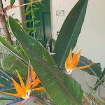 Photo n°2 de l'avis de dandoun.i fait le 13/05/2024 à 11:33 sur le  Oleandri Resort Paestum à Paestum