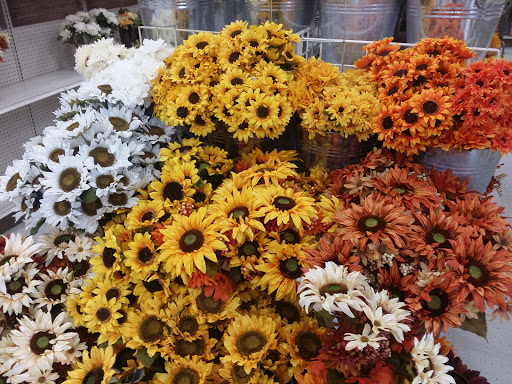 Craft Store «Michaels», reviews and photos, 10872 SW Village Pkwy, Port St Lucie, FL 34987, USA