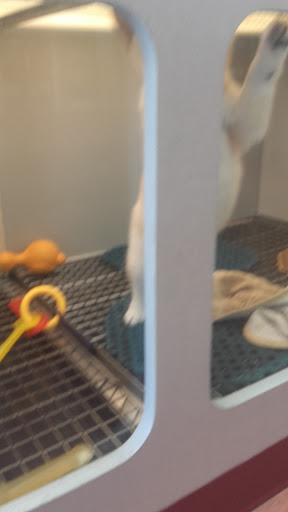 Pet Store «The Pet Pad», reviews and photos, 1239 NW Maynard Rd, Cary, NC 27513, USA