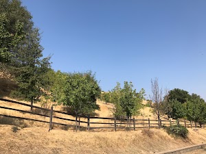 Silent Stay Meditation & Retreat Center - photo 78
