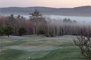 The Meadows Golf Club image