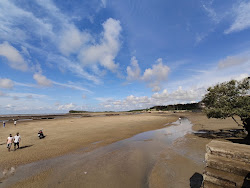 Photo of Talasari Beach wild area