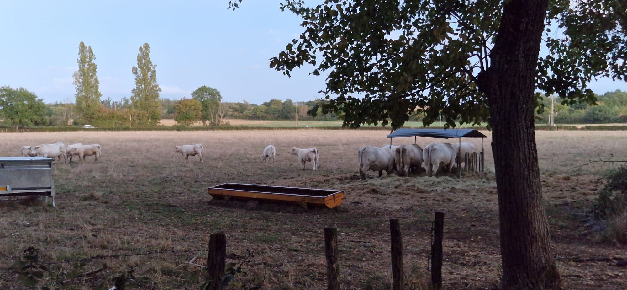 Photo n° 33 de l'avis de Brenno.e fait le 18/09/2022 à 13:32