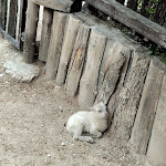 Photo n°29 de l'avis de Dani. fait le 01/05/2022 à 18:33 sur le  Parco Zoo Falconara Srl à Falconara Marittima