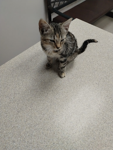 413 W 11th St, Coffeyville, KS 67337, USA