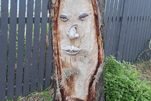 Face Tree image