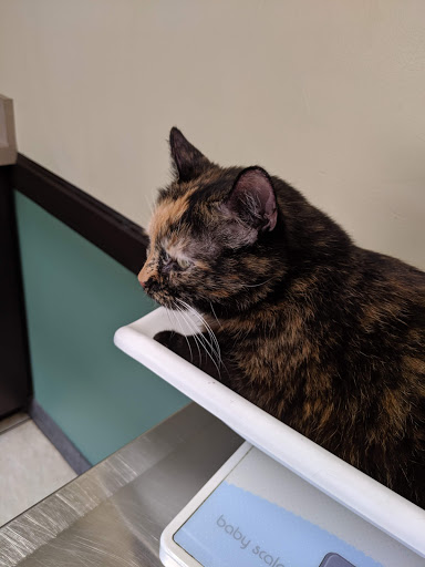 78 Winchester St, Newton, MA 02461, USA