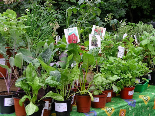 Sheffield Country Market