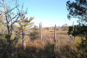 Castaway Island Preserve image