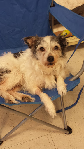 Pet Supply Store «PetSmart», reviews and photos, 6251 N Davis Hwy, Pensacola, FL 32504, USA