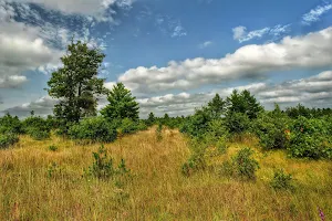Coon Fork Barrens State Natural Area image