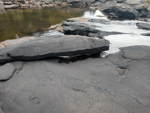 Nature Preserve «Little River Canyon National Preserve», reviews and photos, 4322 Little River Trail NE, Fort Payne, AL 35984, USA