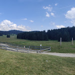 Photo n°1 de l'avis de M.. fait le 26/06/2022 à 17:05 sur le  Malga Millegrobbe à Lavarone