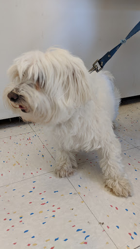 Pet Supply Store «Petco Animal Supplies», reviews and photos, 2005 Crow Canyon Pl, San Ramon, CA 94583, USA