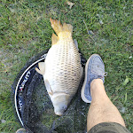 Photo n°2 de l'avis de Roberto.u fait le 28/04/2021 à 19:23 sur le  Laghi vivinatura à Loc. Donnino, Modena